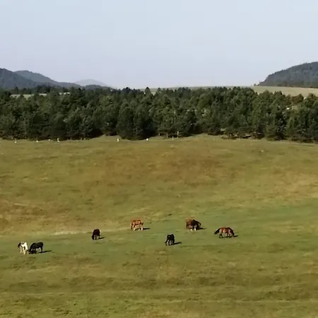 Ns Novakovic Apartment Zlatibor