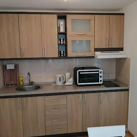 Apartamento Ns Novakovic Zlatibor