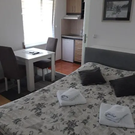 Ns Novakovic * Zlatibor