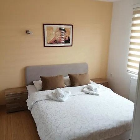 Ns Novakovic Zlatibor