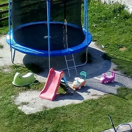 Ns Novakovic Zlatibor