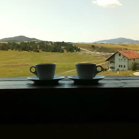 Ns Novakovic Zlatibor