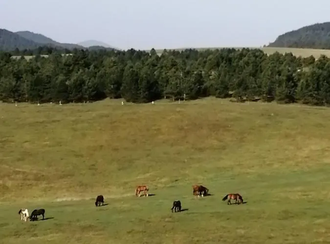 Ns Novakovic Apartment Zlatibor