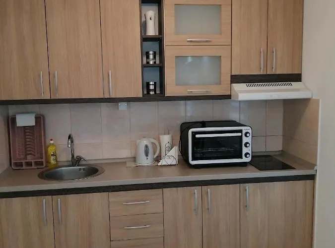 Apartment Ns Novakovic Zlatibor